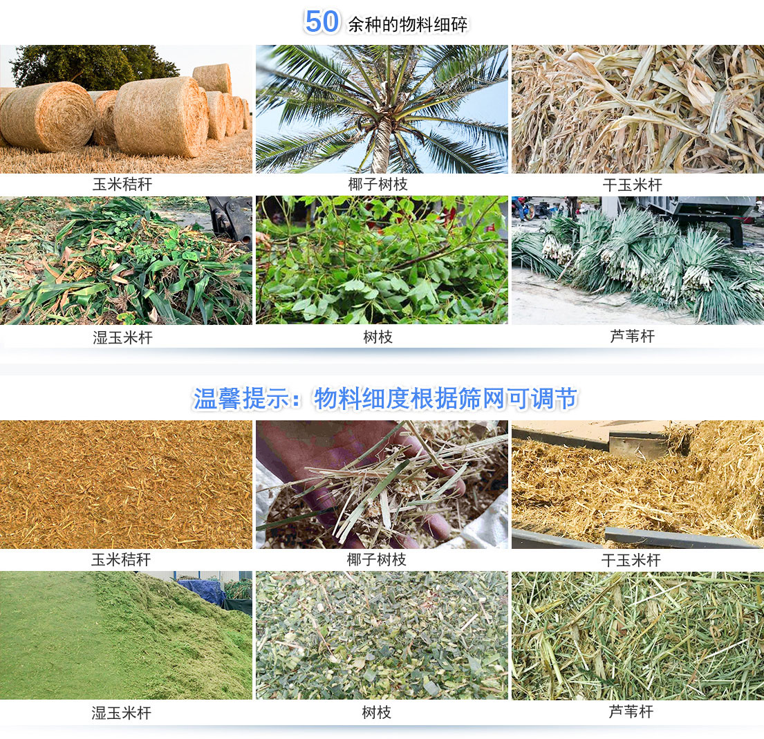 1597760003178074.jpg 123156444685 (1).jpg